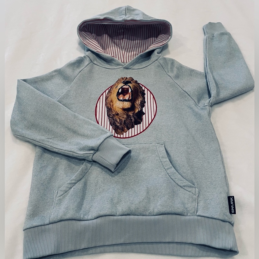 Snurk Amsterdam Kid’s (Unisex) Gray Organic Cotton Hoodie (Pre-Loved)